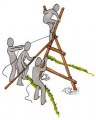 Constructie