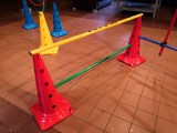 Pionnenset